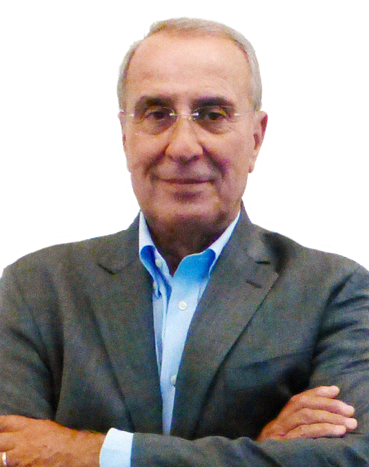 Sesa_Governance-P.Castellacci